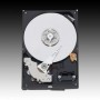 WD Blue HDD Desktop (3.5", 1TB, 64MB, SATA III-600)