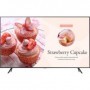 Televizor profesional Samsung BE55T-H