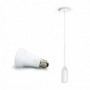 PENDUL PHILIPS HUE DEVOTE 8718696168905