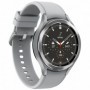 SAMSUNG W4 Classic R890 Silver