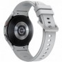 SAMSUNG W4 Classic R890 Silver