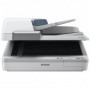 EPSON DS-70000 A3 SCANNER