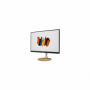 MONITOR 24" ACER ConceptD CM2
