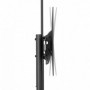 NM Newstar TV Mobile Stand Floor 70"