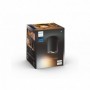 Pillar Hue ext. spot single spot black 1