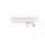 Centris Hue 2-spot white special form