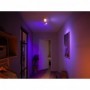 Centris Hue 2-spot black special form