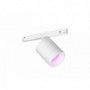 HUE TRACK SPOT TUBE 5W W.