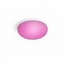 FLOURISH HUE CEILING EU/UK WHITE 32W 24V