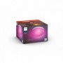 FLOURISH HUE CEILING EU/UK WHITE 32W 24V