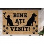 COVORAS INTRARE 60X40 CM, PAWS