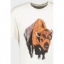 TRICOU ZIMBRU