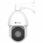 MS-C2941-X25RPE