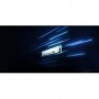 KS SSD 500GB M.2 2280 NVMe SNV2S/500G