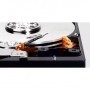 WD HDD3.5 2TB SATA WD20EZBX