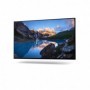 DL MONITOR 23.8" U2422H 1920 x 1080