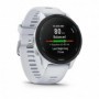 Garmin Forerunner 255, Whitestone