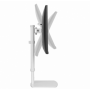 Suport dublu mon. birou NM 10"-30" 6 kg