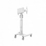 Stand podea mobil NM MUp 37-75" 70kg alb